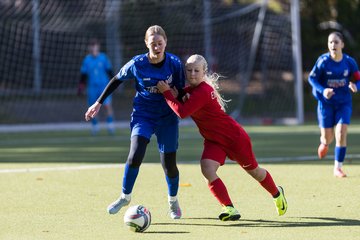 Bild 434 - wCJ Eimsbuettler TV - FC Rosengarten : Ergebnis: 2:0
